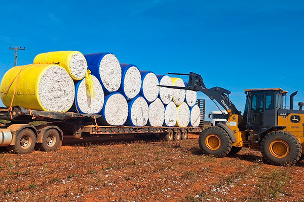 Espeto para Algodão