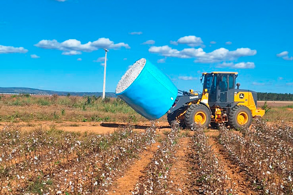 Espeto para Algodão